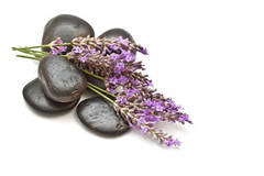 GF Lavender Woods Cosmetic Grade Fragrance Oil