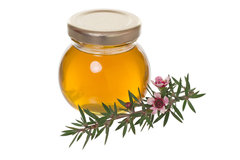 GF Manuka Honey Cosmetic Grade Fragrance Oil