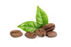 GF Roasted Coffee Bean Cosmetic Grade Fragrance Oil