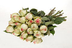 SP Rosebuds Cosmetic Grade Fragrance Oil