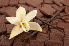 SP Vanilla Cocobean Cosmetic Grade Fragrance Oil